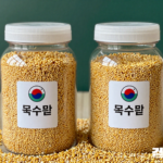농가 작업대에 옥수수 종자가 담긴 같은 크기의 무표기 용기 두 개가 나란히 놓인 모습