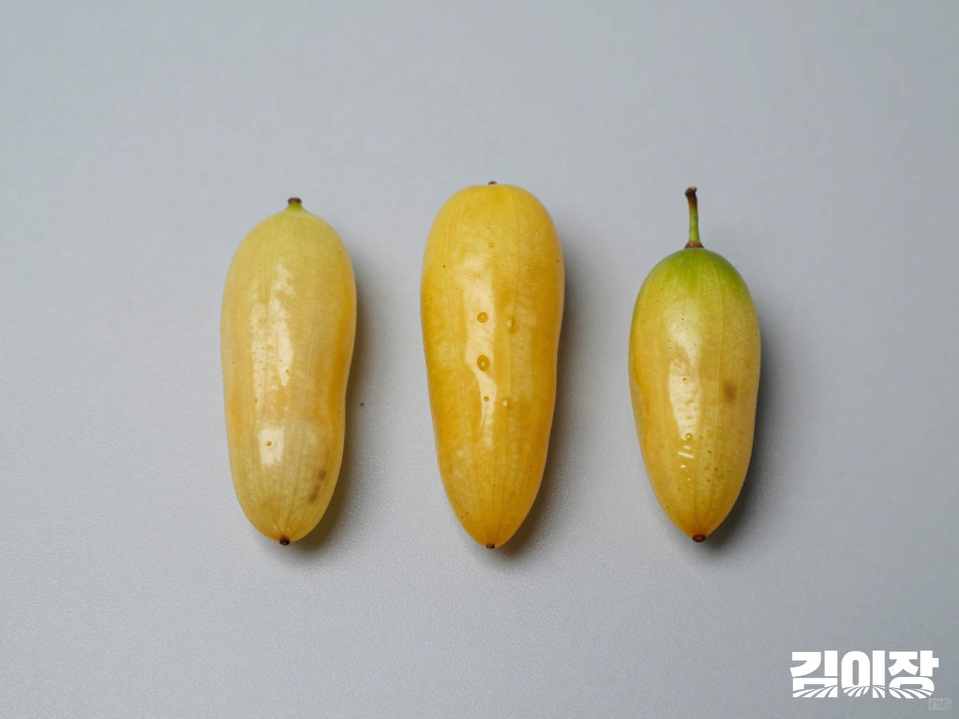 밝은 검사대 위에 둥근 참외와 길쭉한 참외, 비대칭 참외가 간격을 두고 놓여 있고 옆에 작은 계측 장치가 있는 모습