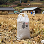 수확 중인 논 앞에 갓 거둔 벼 톤백이 놓인 모습